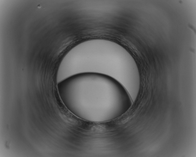X0000091910599200709051213