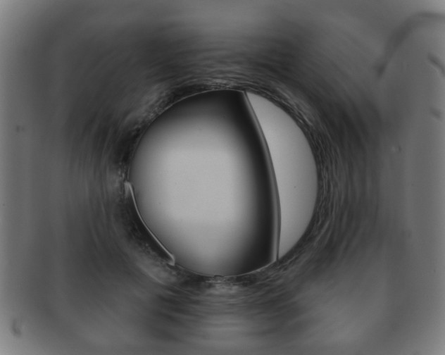 X0000091910601200709051213