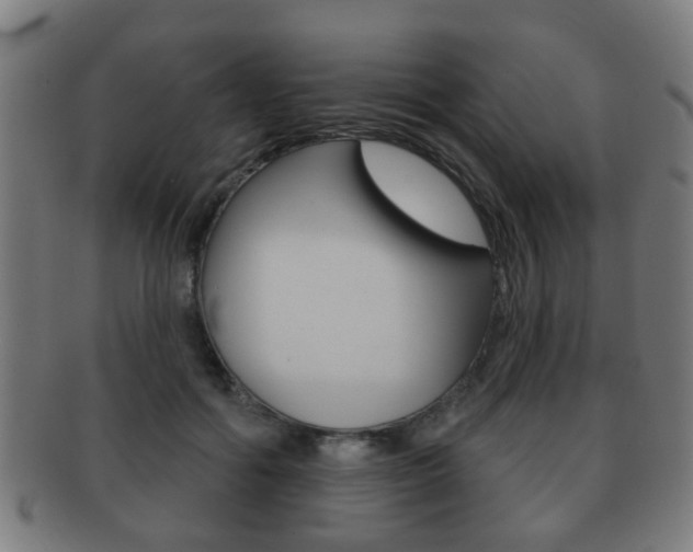 X0000091910602200709051213