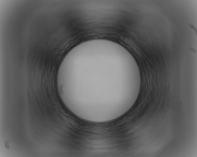 X0000091910604200709051213
