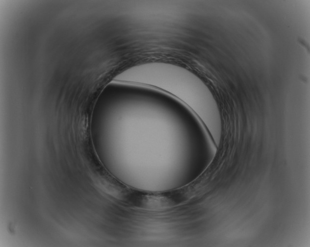X0000091910605200709051213