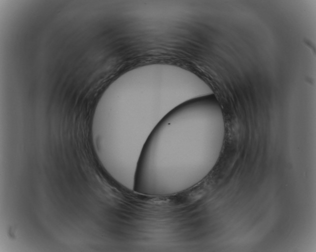 X0000091910606200709051213