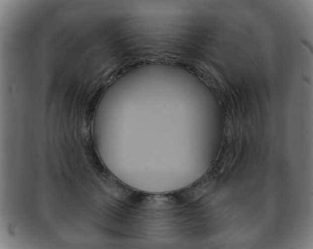 X0000091910607200709051213