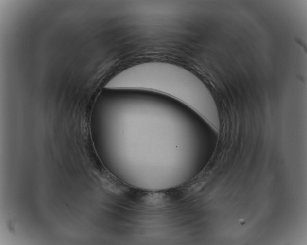 X0000091910609200709051213
