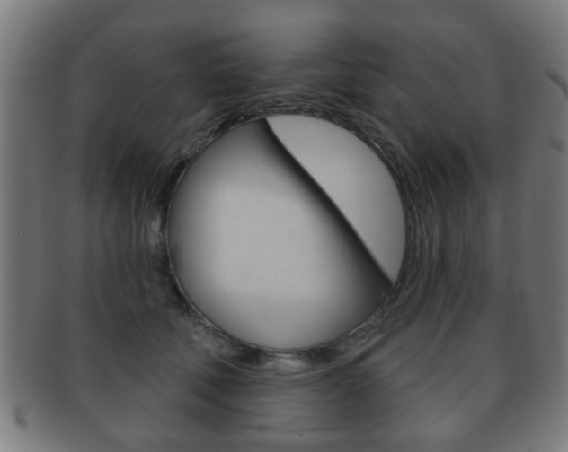 X0000091910610200709051213