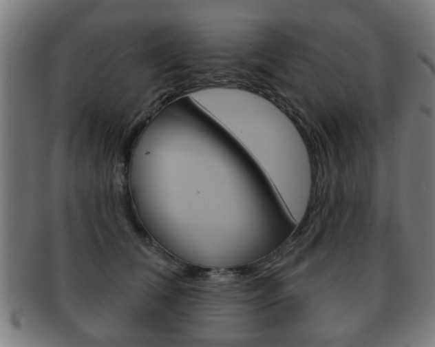 X0000091910612200709051213