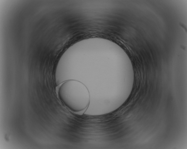 X0000091910613200709051213