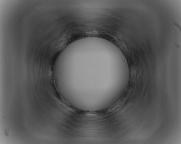 X0000091910614200709051213
