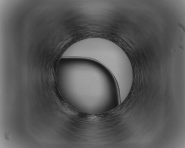 X0000091910616200709051213