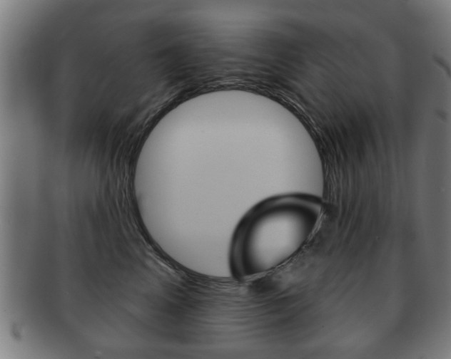 X0000091910617200709051213