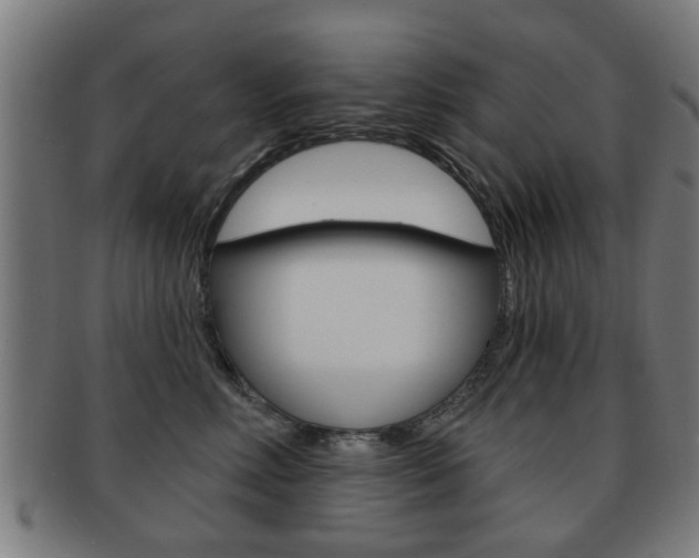 X0000091910618200709051213
