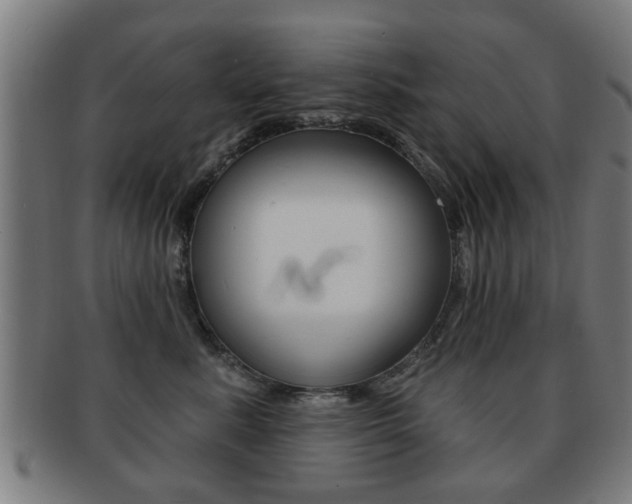 X0000091910619200709051213