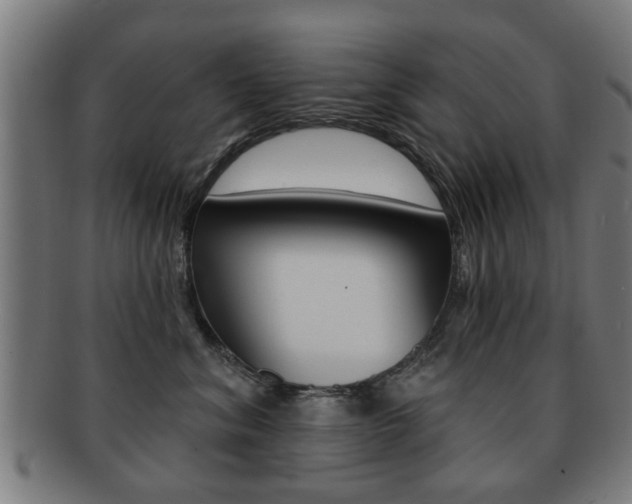 X0000091910620200709051213
