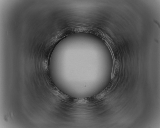 X0000091910621200709051213