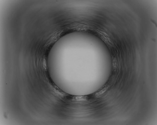 X0000091910622200709051213