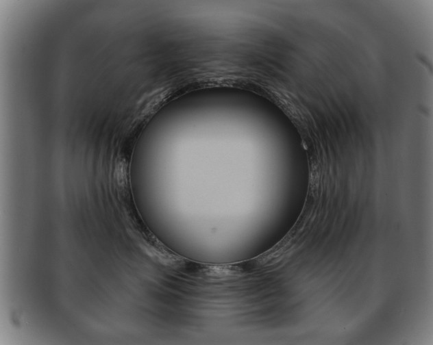 X0000091910623200709051213
