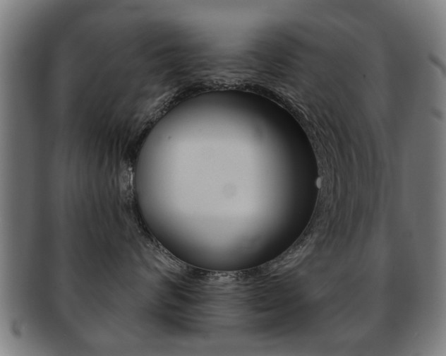 X0000091910624200709051213