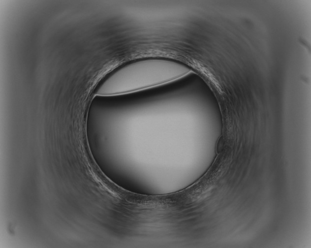 X0000091910625200709051212