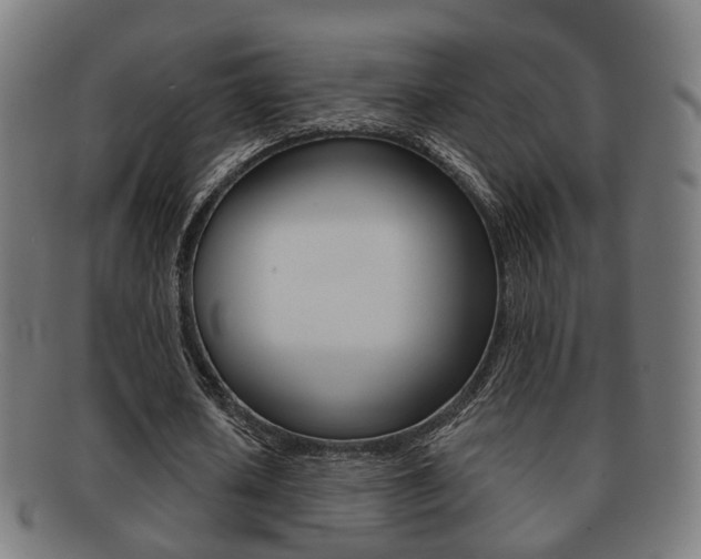 X0000091910626200709051212