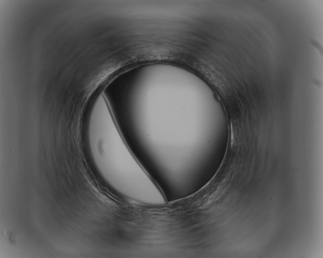X0000091910627200709051212