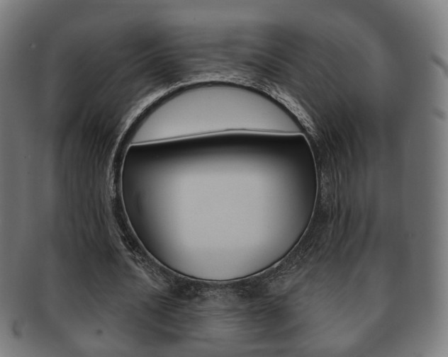 X0000091910628200709051212