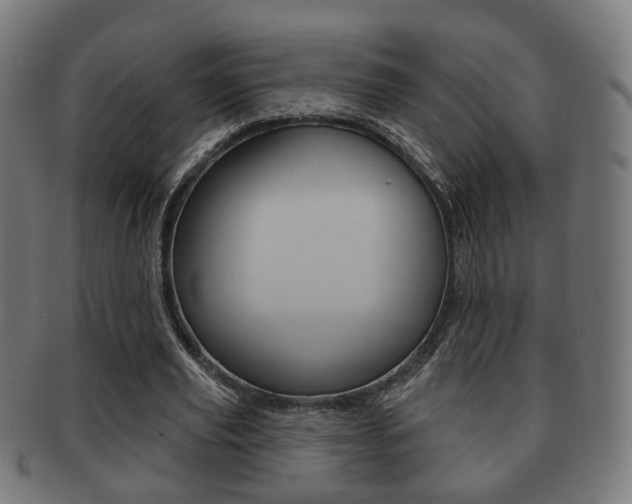 X0000091910629200709051212