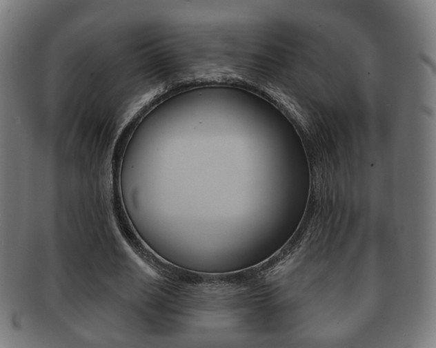 X0000091910630200709051212