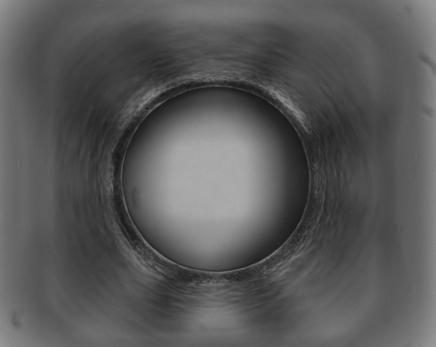 X0000091910631200709051212