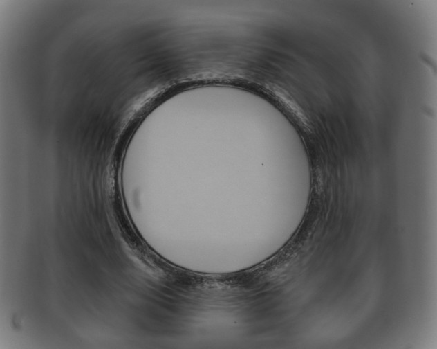 X0000091910632200709051212