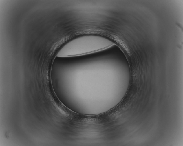 X0000091910633200709051212