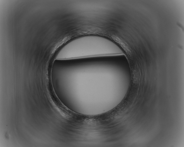 X0000091910634200709051212