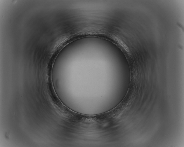 X0000091910635200709051212