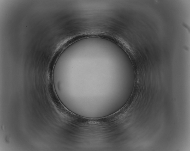 X0000091910636200709051212