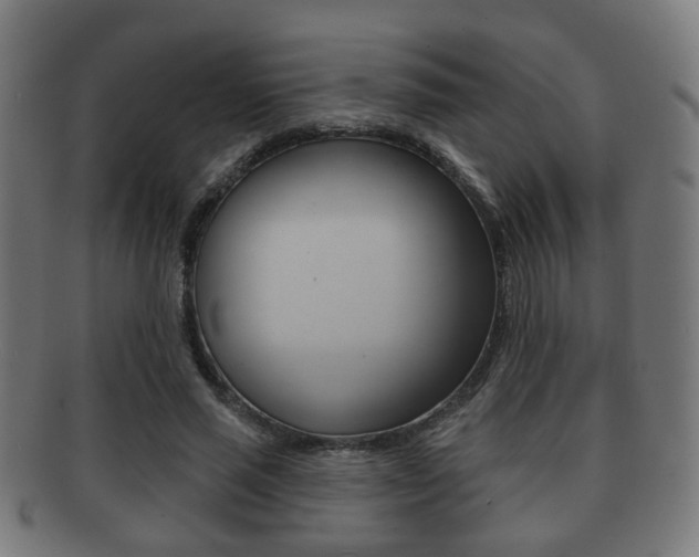 X0000091910637200709051212