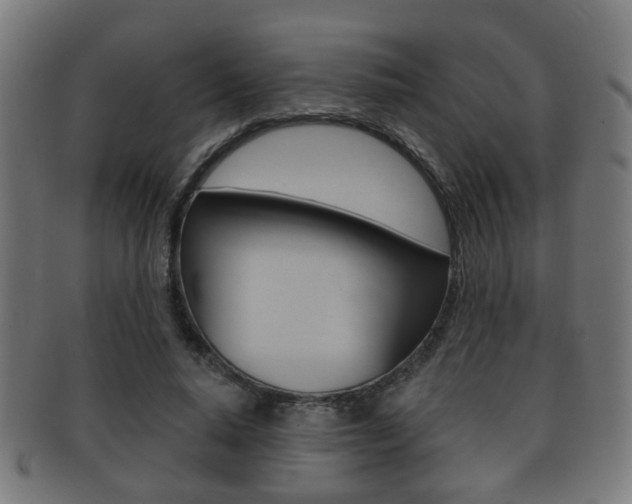 X0000091910640200709051212