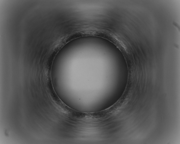 X0000091910641200709051212