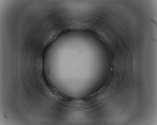 X0000091910642200709051212
