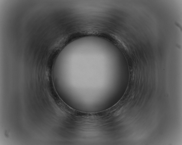 X0000091910643200709051212