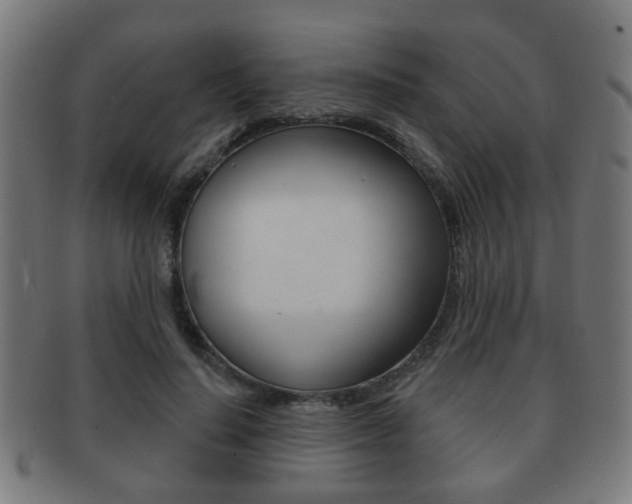 X0000091910644200709051212