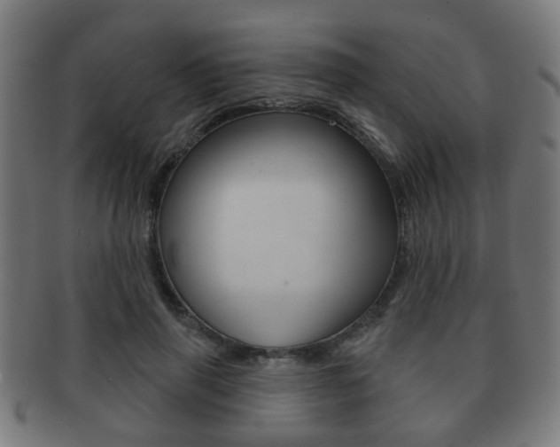 X0000091910645200709051212