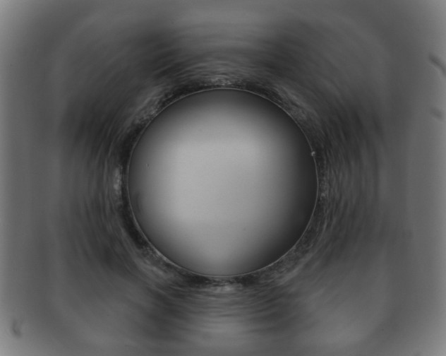 X0000091910646200709051212