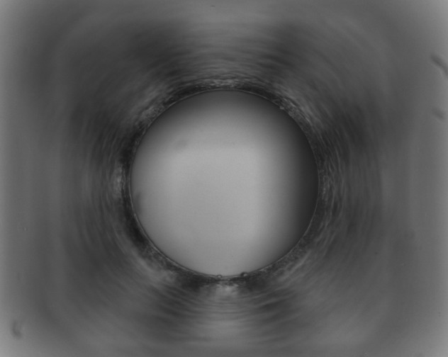 X0000091910647200709051212