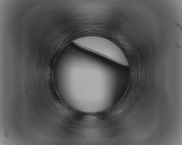 X0000091910649200709051212