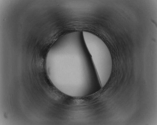 X0000091910650200709051212