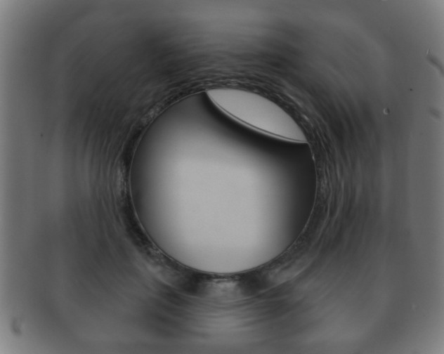 X0000091910651200709051212