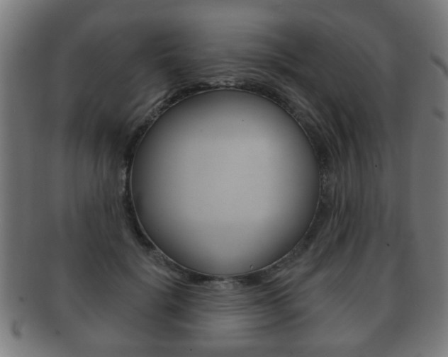 X0000091910652200709051212