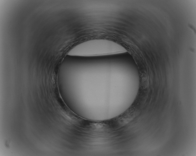 X0000091910654200709051212