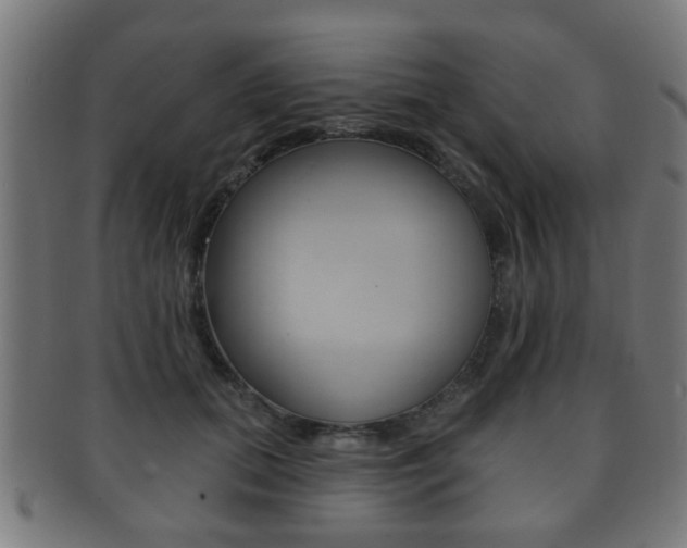 X0000091910655200709051212