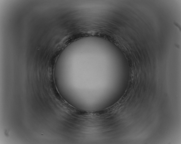 X0000091910656200709051212