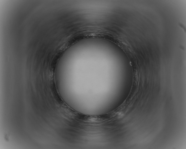 X0000091910657200709051212